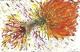 Exotic 3 - Christine Graf - Acryl auf Leinwand - Blumen - Abstrakt