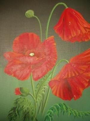 Mohn mit Wassertropfen -  Lena Wanner - Array auf Array - Array - 