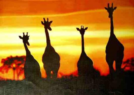 Giraffen im Sonnenuntergang -  KingsArt - Array auf Array - Array - 