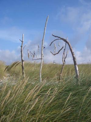 Holzkunst -  A.Tschiersch -  auf Array - Array - 