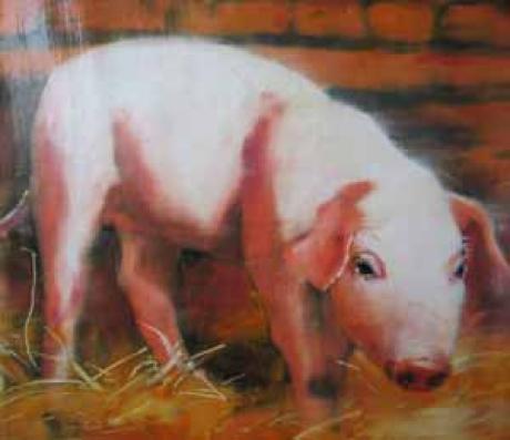 Little Piggy -  Nalin - Array auf Array - Array - 