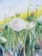 Sommerwiese (2) 2008 -  Hanka & Frank Koebsch - Aquarell auf Papier - Sonstiges - 