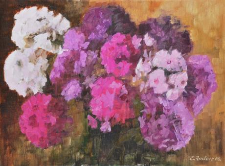 Phlox  - Emma Anders - Array auf  - Array - 