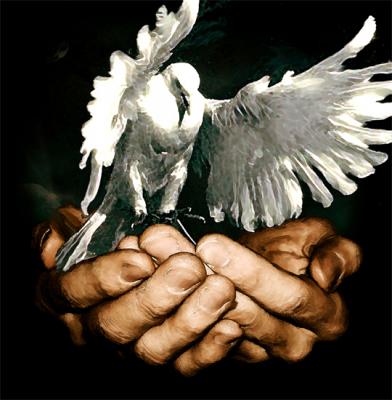 Freedom - Cor Heijnen - Array auf Array - Array - 