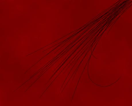 Scrawl 3 - Jacek Fijalkowski - Array auf  - Array - 