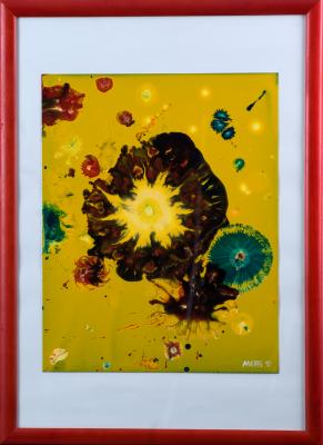 Herbstanemone - m schweitzer - Array auf Array - Array - Array Herbstanemone - m schweitzer - Array auf Array - Array - Array