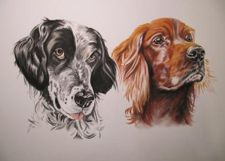 Zwei Hundeportraits in Pastellkreide - Gaby Lukas - Array auf Array - Array - 