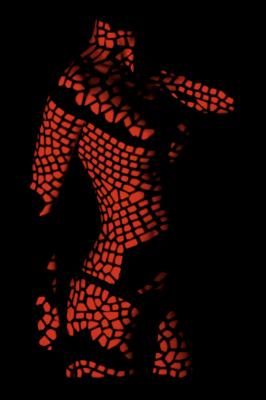 dragon - Oliver Plath - auf - Array - dragon - Oliver Plath - auf - Array -