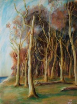 Geisterwald - Birgit Müller - Array auf Array - Array - 