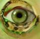 green eye - Roland Benner - - auf  - Portrait - 