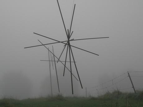 ---Die Ordnung - Wolfgang Thomsen -  auf  - Array - 