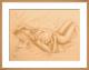 Schlummernde Venus - Marita Zacharias - Illustration-RÃ¶tel auf  - weiblich-Liebe - Figuration-Realismus