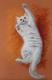 White cat - Renate Dohr - Pastell auf Pappe-Papier - Katzen - Figuration-GegenstÃ¤ndlich-Naturalismus-Realismus