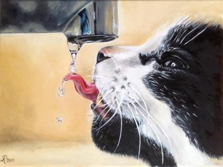 Thirsty cat - Rebecca Tecla - Array auf  - Array - 