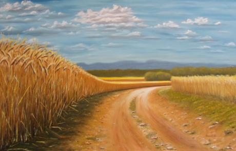 Weizenernte season - Saad Murad - Array auf Array - Array - Weizenernte season - Saad Murad - Array auf Array - Array -