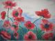 Mohnblumen - Sandra Sobota - Aquarell auf Karton - Mohn - 