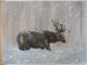 Hirsch im Winter - Desiree Bernhard -  auf  - Wildtiere-Landschaft-Sonstiges-Winter-Regen - 