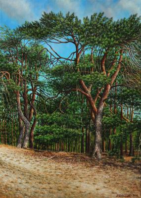 Kiefern - Jürgen Schmidt - Array auf Array - - Array Kiefern - Jürgen Schmidt - Array auf Array - - Array