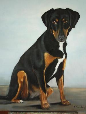 Hunde-Portrait - Zdravko Radenkovic - Array auf Array -  - 