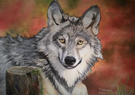 WOLF - torsten hänold -  auf  -  - 