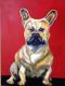 Bulldogge - Petr David - Acryl auf  -  - 