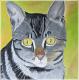 Conan - Karina Birke - Acryl auf Leinwand - Katzen - Realismus