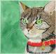 Paula - Karina Birke - Acryl auf Leinwand - Katzen - 