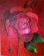 Rose - A. Eykman - Aquarell auf Leinwand - Blumen-Rosen - 