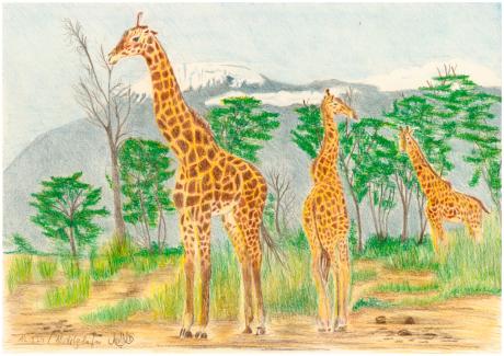 Giraffe-Triologie - Claudia Lüthi - Array auf - Array - Giraffe-Triologie - Claudia Lüthi - Array auf - Array -