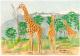 Giraffe-Triologie - Claudia LÃÂ¼thi - Farbstift auf  - Wildtiere - 