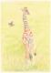 Baby-Giraffe - Claudia LÃÂ¼thi - Farbstift auf  - Wildtiere - 